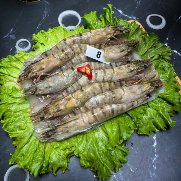 Tôm Sú Khánh Long - Size 8 (Hộp 8 con)