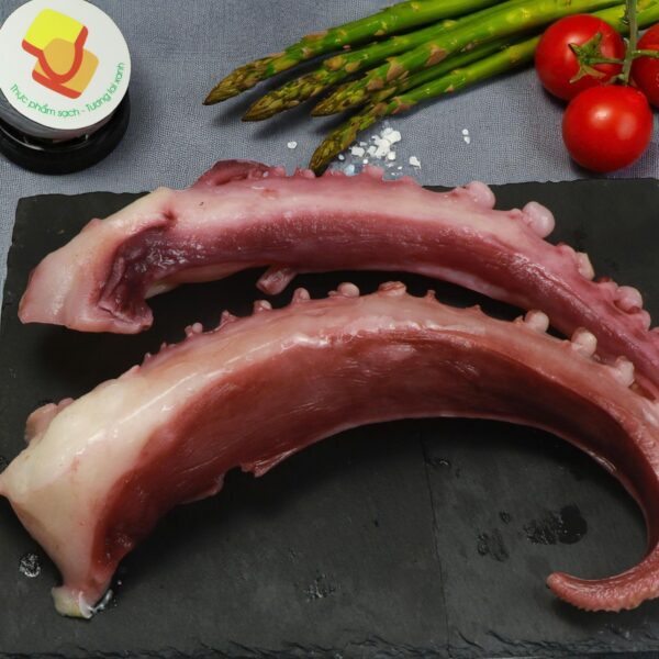 Râu Tuộc Khổng Lồ
