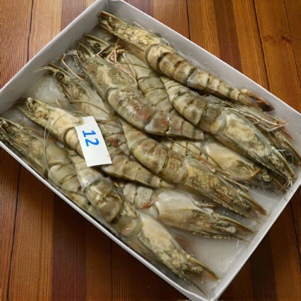 Tôm Sú Khánh Long – Size 12 (Hộp 12 con)
