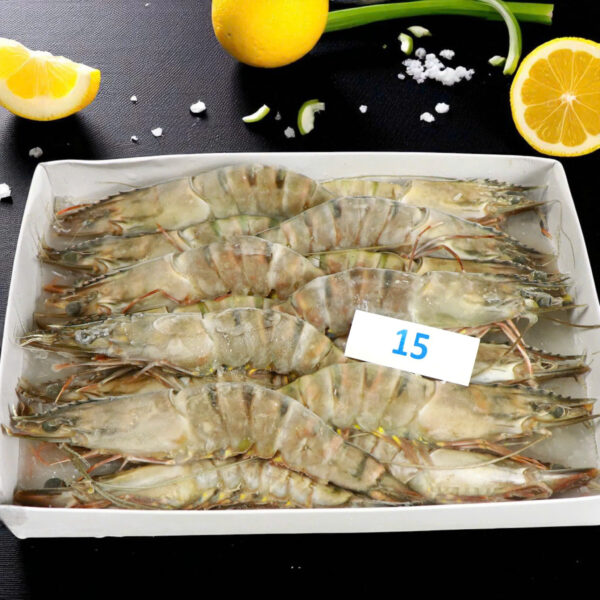 Tôm Sú Khánh Long – Size 15 (Hộp 15 con)