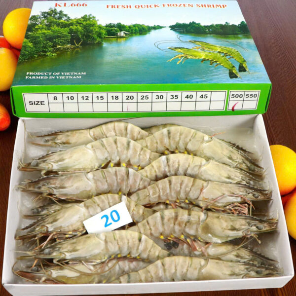 Tôm Sú Khánh Long – Size 20 (Hộp 20 con)