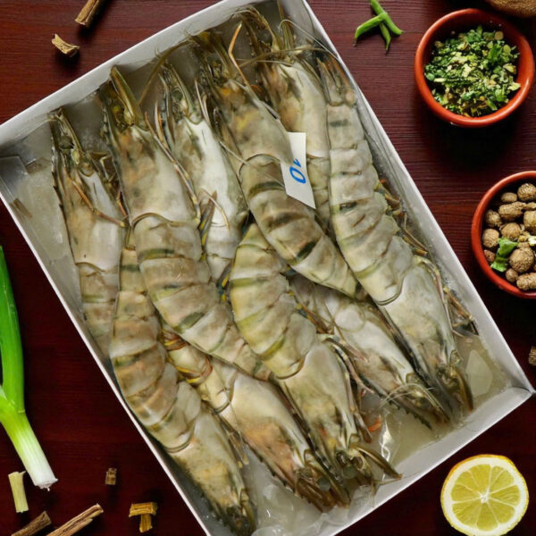 Tôm Sú Khánh Long – Size 10 (Hộp 10 con)