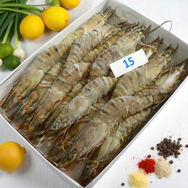 Tôm Sú Khánh Long – Size 15 (Hộp 15 con)