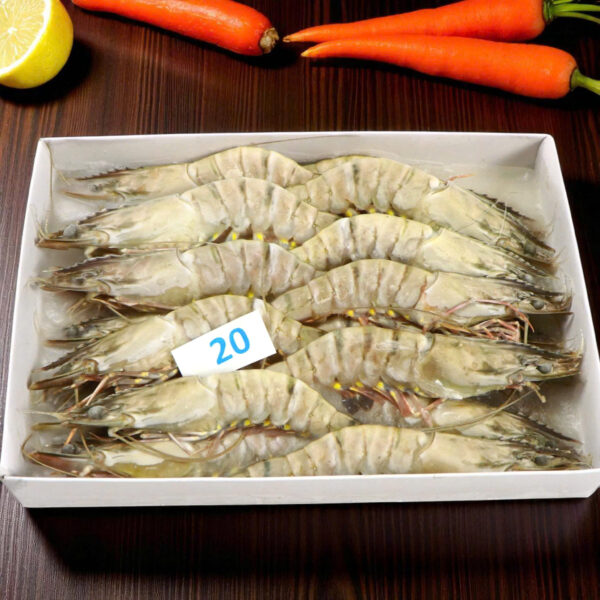 Tôm Sú Khánh Long – Size 20 (Hộp 20 con)