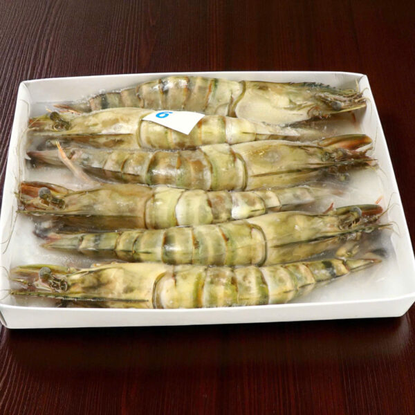 Tôm Sú Khánh Long - Size 6 (Hộp 6 con)