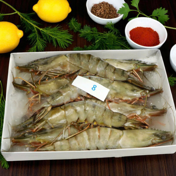 Tôm Sú Khánh Long - Size 8 (Hộp 8 con)