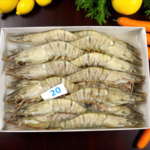Tôm Sú Khánh Long – Size 20 (Hộp 20 con)