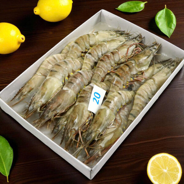 Tôm Sú Khánh Long – Size 20 (Hộp 20 con)